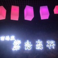 評論圖片 2