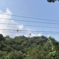 評論圖片 1