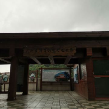 評論圖片 3
