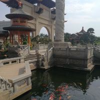 評論圖片 6