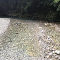 評論圖片 6