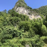 評論圖片 2