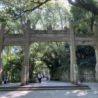 評論圖片 3