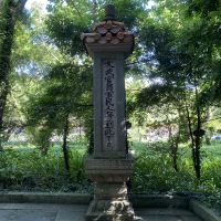 評論圖片 2