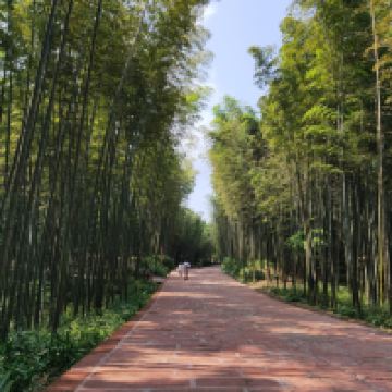 評論圖片 4