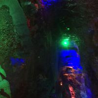 評論圖片 1