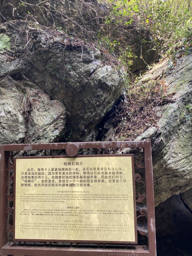 목란 운문산
