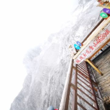 評論圖片 7
