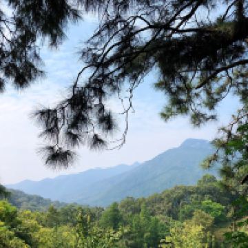評論圖片 6