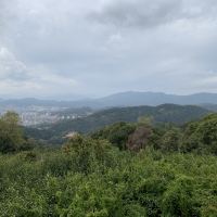 評論圖片 7
