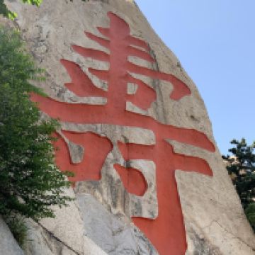 評論圖片 3