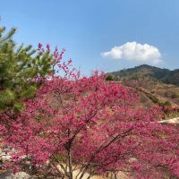 評論圖片 9