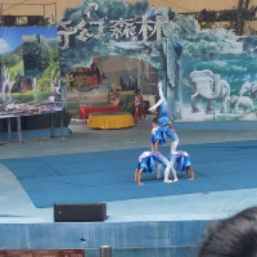 評論圖片 2