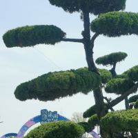評論圖片 2