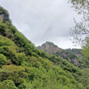 評論圖片 4