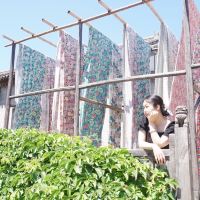 評論圖片 8
