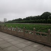 評論圖片 7