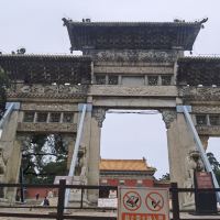 評論圖片 6