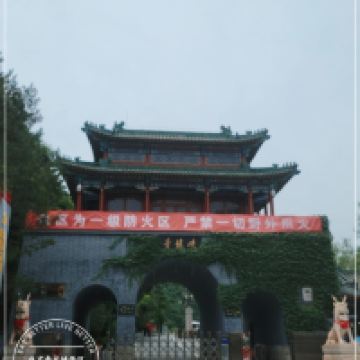 評論圖片 8