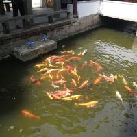 評論圖片 1