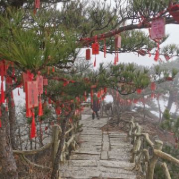 評論圖片 1
