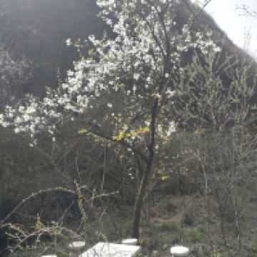 評論圖片 4