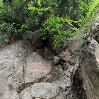 評論圖片 4