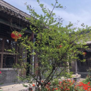 評論圖片 3