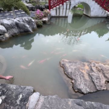 評論圖片 7