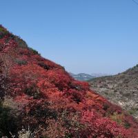 評論圖片 4