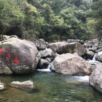 評論圖片 1