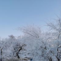 評論圖片 9