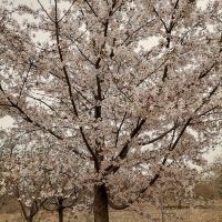 評論圖片 8