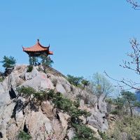 評論圖片 3