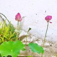 評論圖片 8