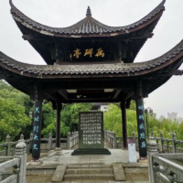 評論圖片 6
