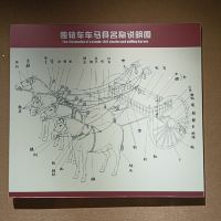 評論圖片 4