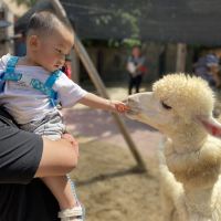 評論圖片 2