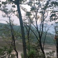 評論圖片 1