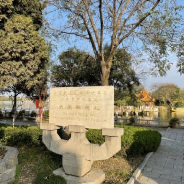 評論圖片 4
