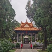 評論圖片 9