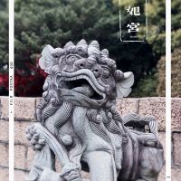 評論圖片 7