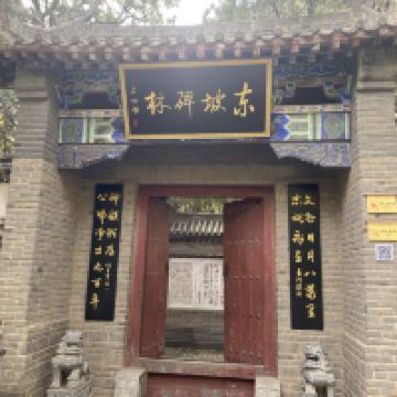 評論圖片 6