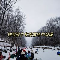 評論圖片 5