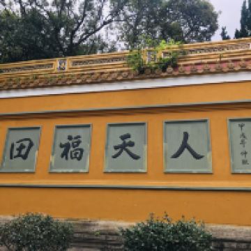 評論圖片 7