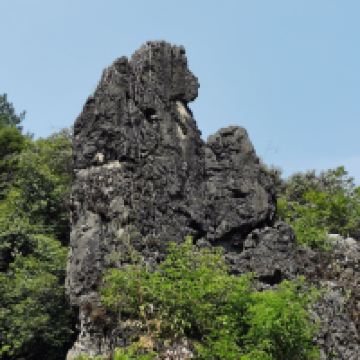 評論圖片 7
