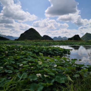 評論圖片 2