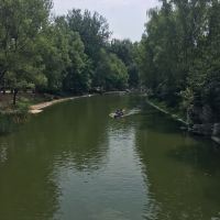 評論圖片 1