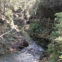 評論圖片 7
