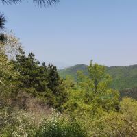 評論圖片 4